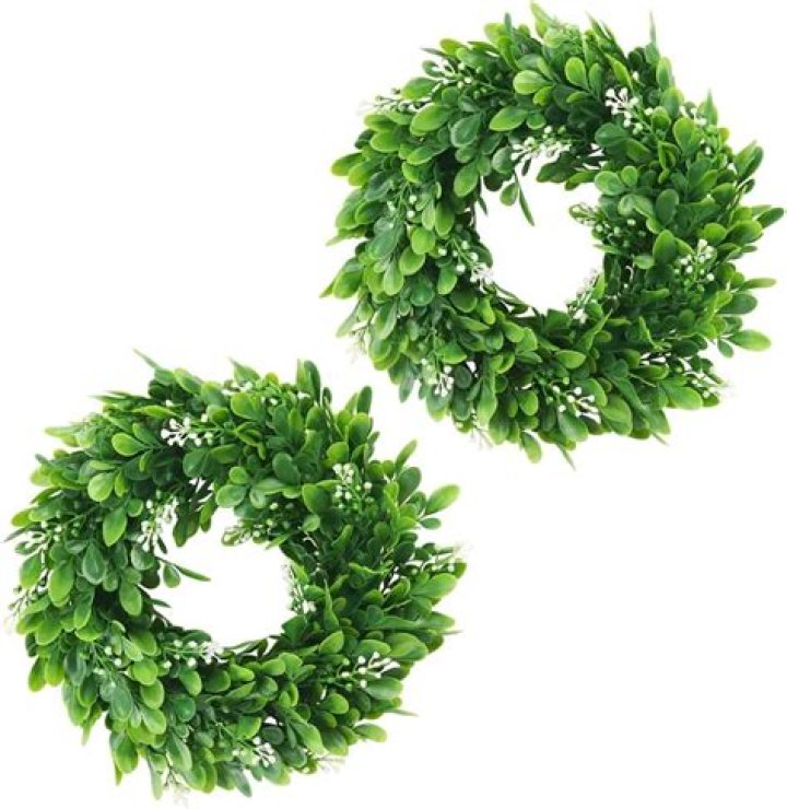 Discover The Enchanting World Of 10 Inch Boxwood Wreaths For Your Home Dcor