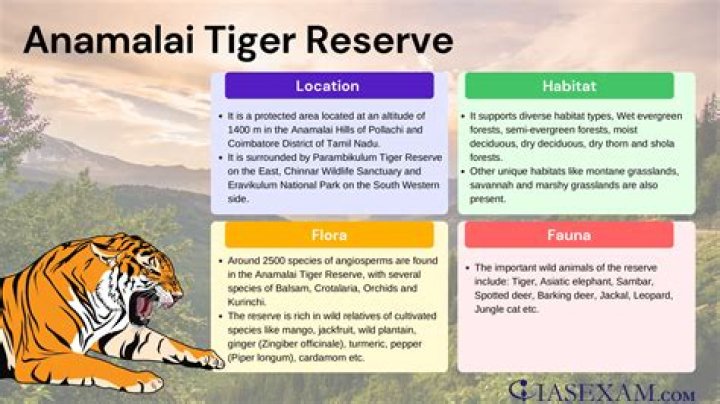 Unveiling The Enigmatic World Of Anamalai Wives: Discoveries And Insights