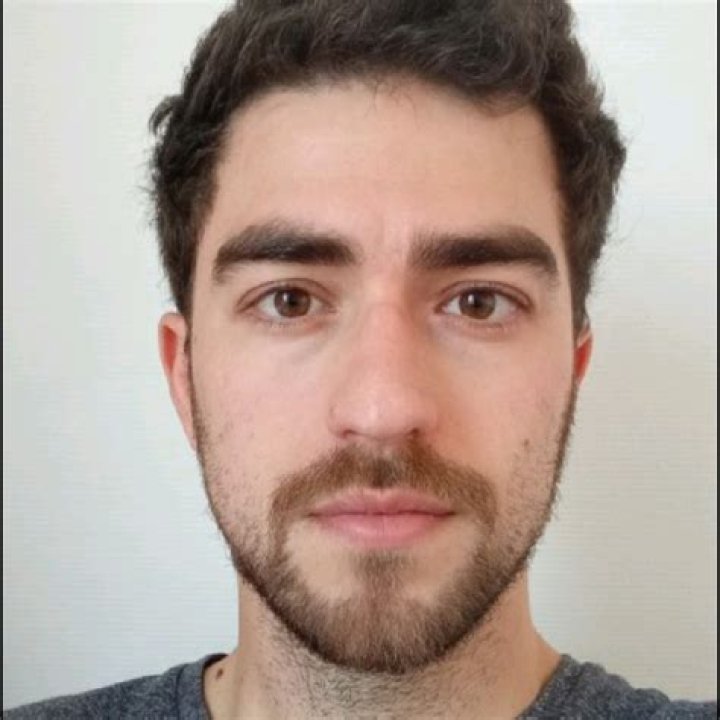 Unraveling The World Of Insects: Discoveries From Antoine Romand