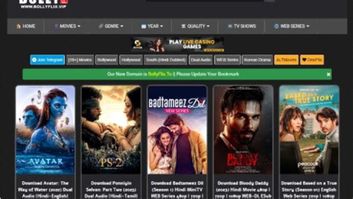 Bollyflix VIP: Your Ultimate Guide to Stream Bollywood Movies