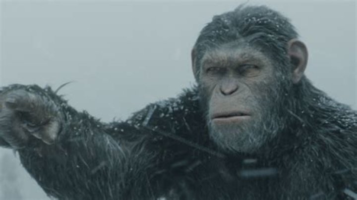 Caesar Weak, Koba Weaker: A Deep Dive Into Historical Leadership and Power Dynamics