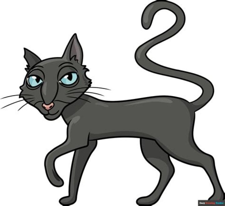Drawing the Coraline Cat: Capturing Its Mysterious Charm