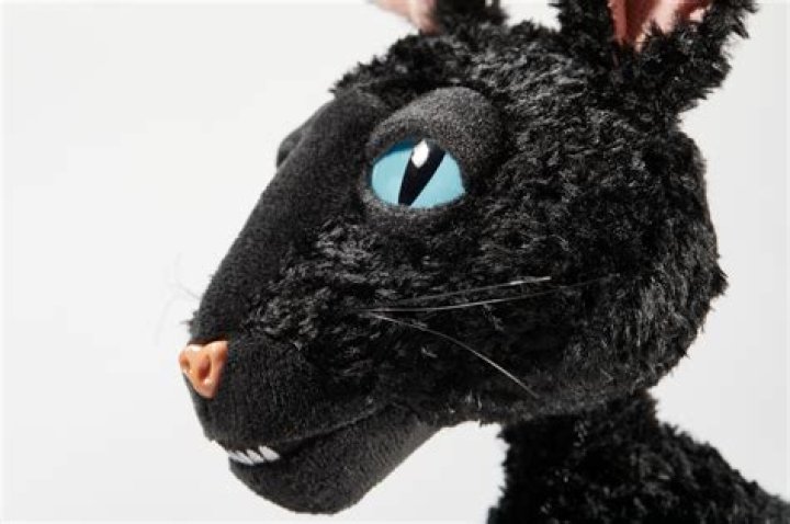 Finding Your Perfect **Cat from Coraline Plush**: A Guide for Fans