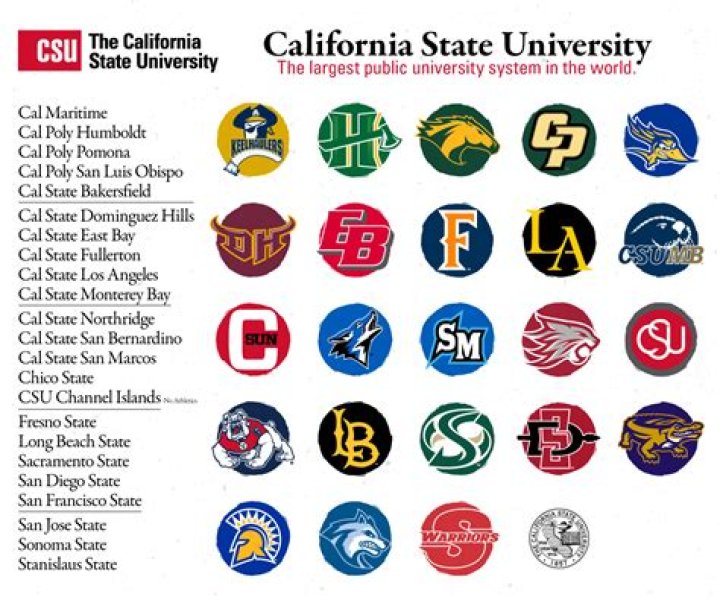 Unveiling Culture, Tradition, And Excellence