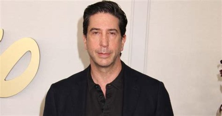 David Schwimmer Net Worth: A Look at the Star's Financial Journey in 2024