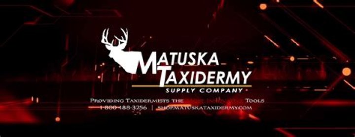 Unveiling The Secrets Of Day 6 Taxidermy: A Supernatural Journey