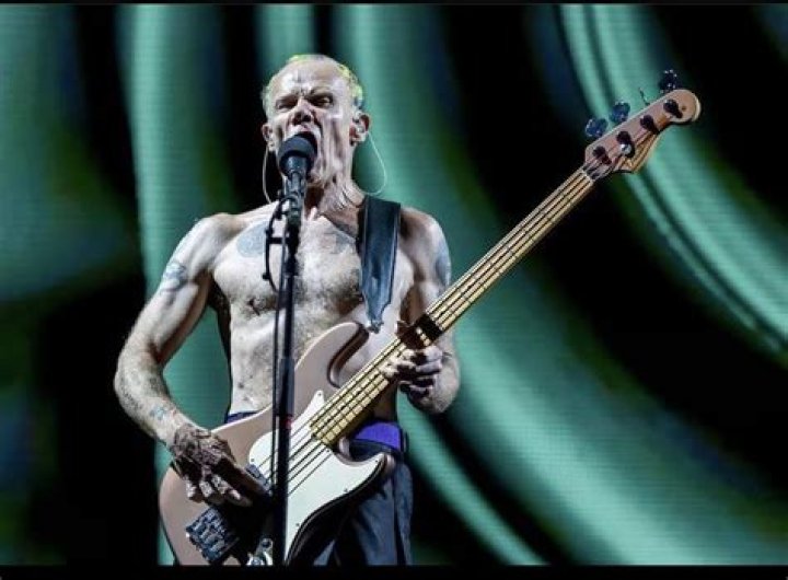 Did Flea Lose His House? Exploring Identity Disruption in Dissociative Identity Disorder