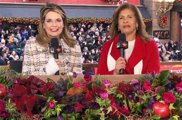Did Savannah Guthrie and Hoda Kotb Get Along? Unpacking Their On-Screen Partnership