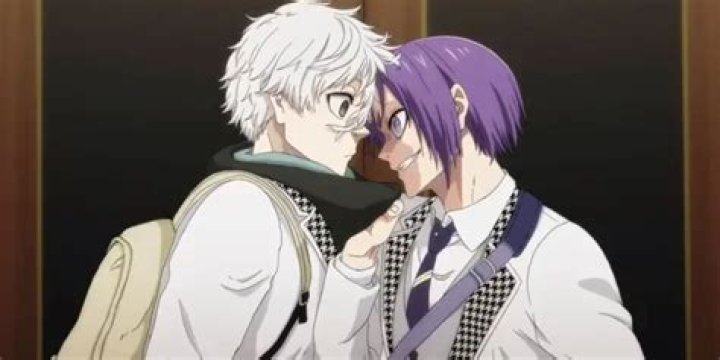 Does Nagi's Sister Like Him? Unpacking the Question with Proper English