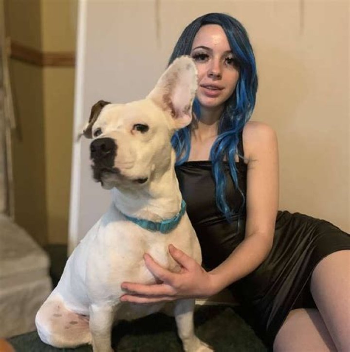 Everything You Need to Know About Dogxxx: An In-Depth Guide