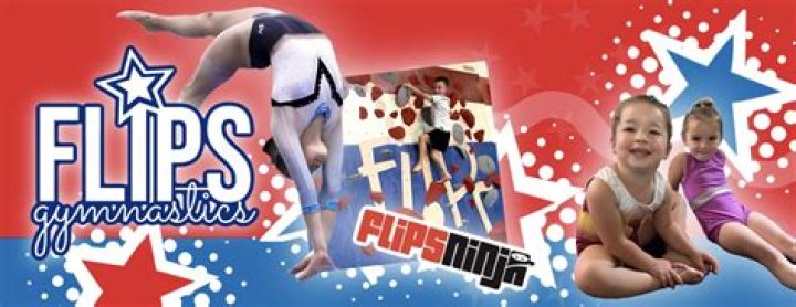 Your Journey To Gymnastic Excellence