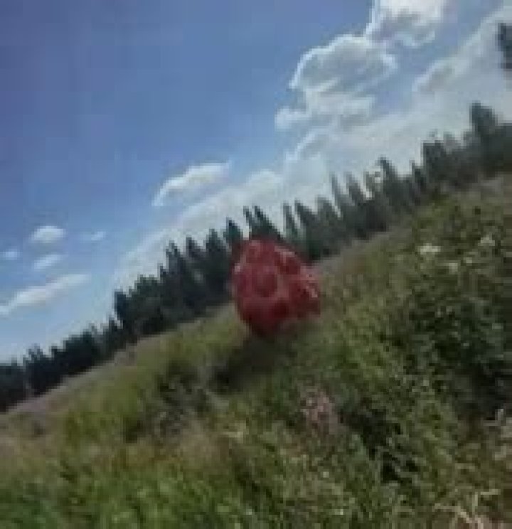 Harvesters Vita Carnis: A Comprehensive Guide to Understanding Its Role and Significance