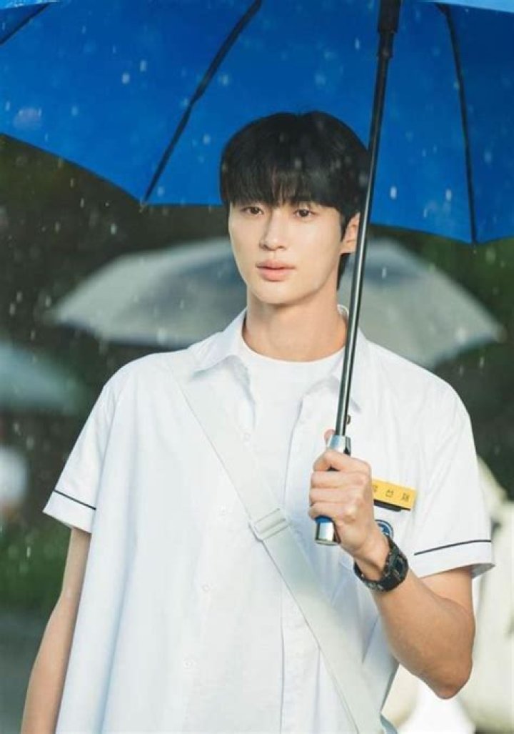 Has Byeon Woo Seok Served in the Military? Unpacking His Service Details