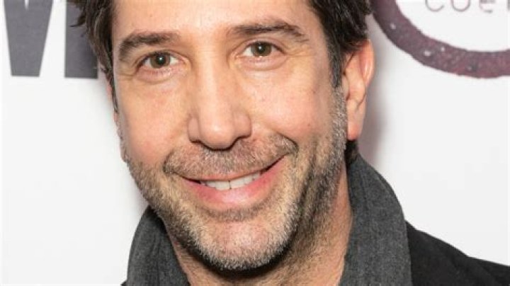 How Much is David Schwimmer? A Look at the Star's Earnings Today