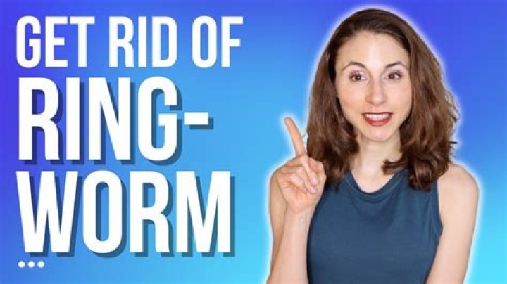 How to Gently Move a Rain Spider Out of Your Home