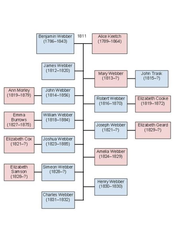Hunt Baldwin Family Tree: Exploring the Legacy and Lineage of a Prominent Family