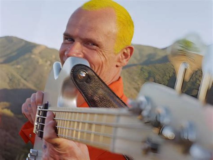 Is Flea from RHCP Sober? A Look at the Musician and the Facts About Fleas
