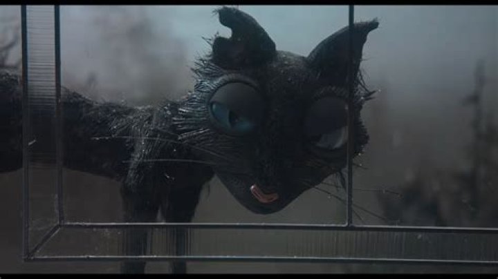 Is the Cat from Coraline Really Morpheus? Unpacking a Popular Fan Theory