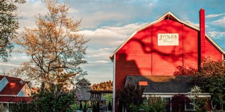A Journey Into Viniculture Excellence