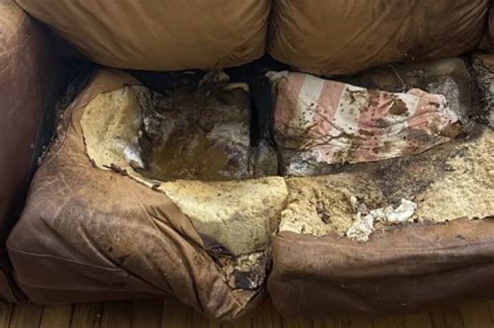 Lacey Fletcher Case Photos: A Deep Dive into the Tragic Story and Its Implications