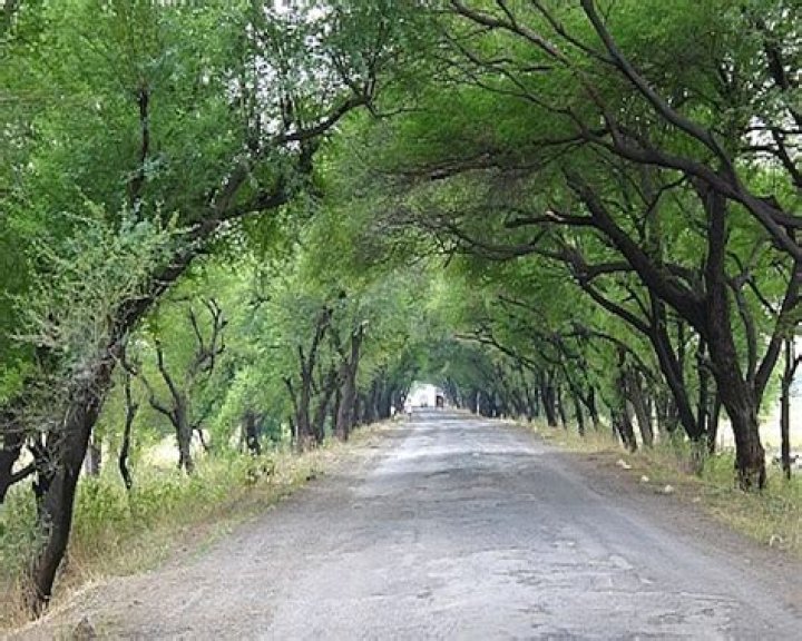 A Journey Through Tradition And Flavor