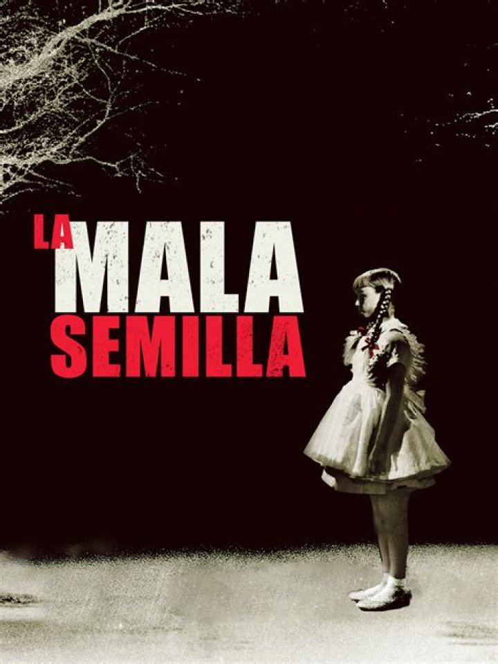 Mala Semilla 2018: The Rise of a Talented Artist in the Spotlight