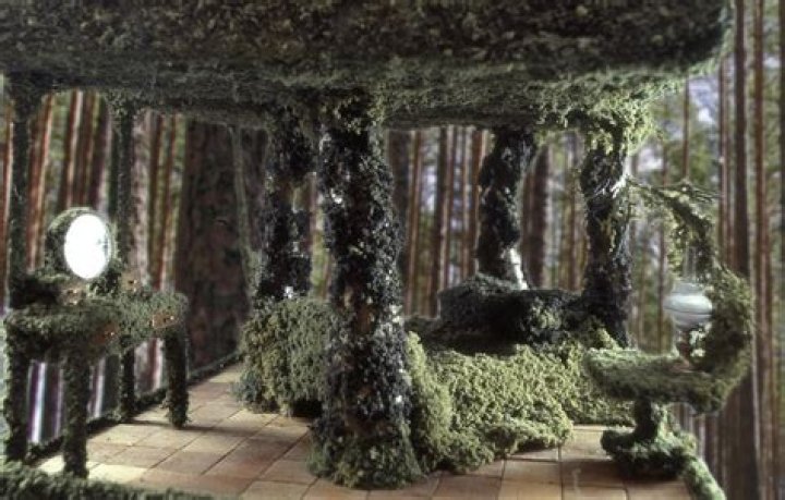 Unveiling The Symphony Of Age In Marc Balet's Art