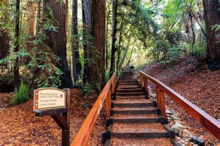 Massey Big Sur State Park: A Comprehensive Guide to California's Natural Gem