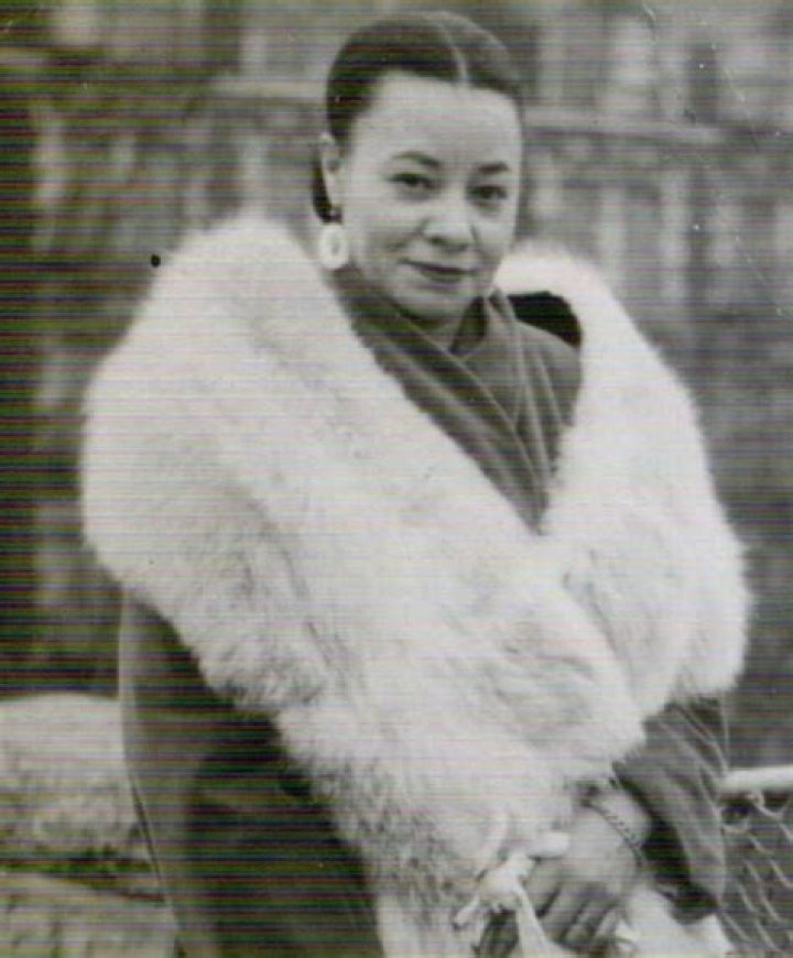 Exploring the Life of Mayme Hatcher Johnson: A Harlem Story