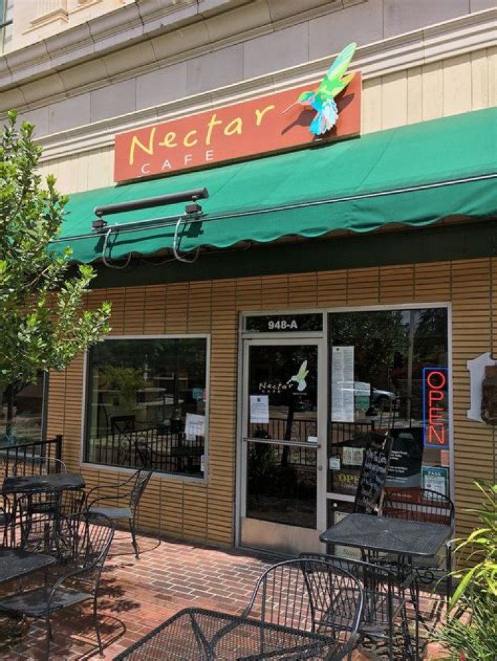 Nectar Cafe Auburn California Explored And Revealed