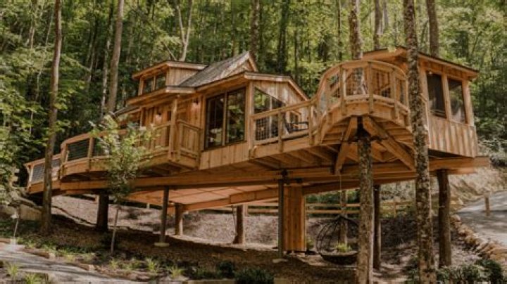 Nelson Treehouse Rentals: Your Ultimate Guide to Luxurious Treehouse Experiences