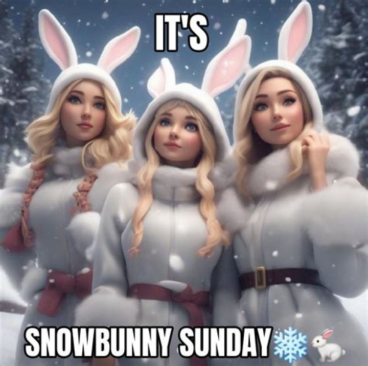 Exploring the Snow Bunny Meme: What It Is and Why We Love It