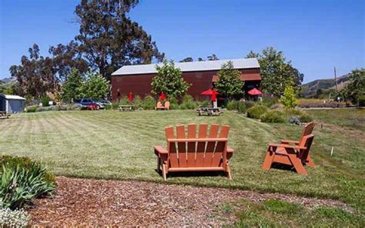 Unveiling The Secrets Of Stolo Vineyards: A Journey Of Discovery