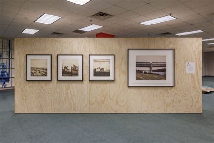 Discovering Susan Mikula Art: A Look at Her Visionary Work