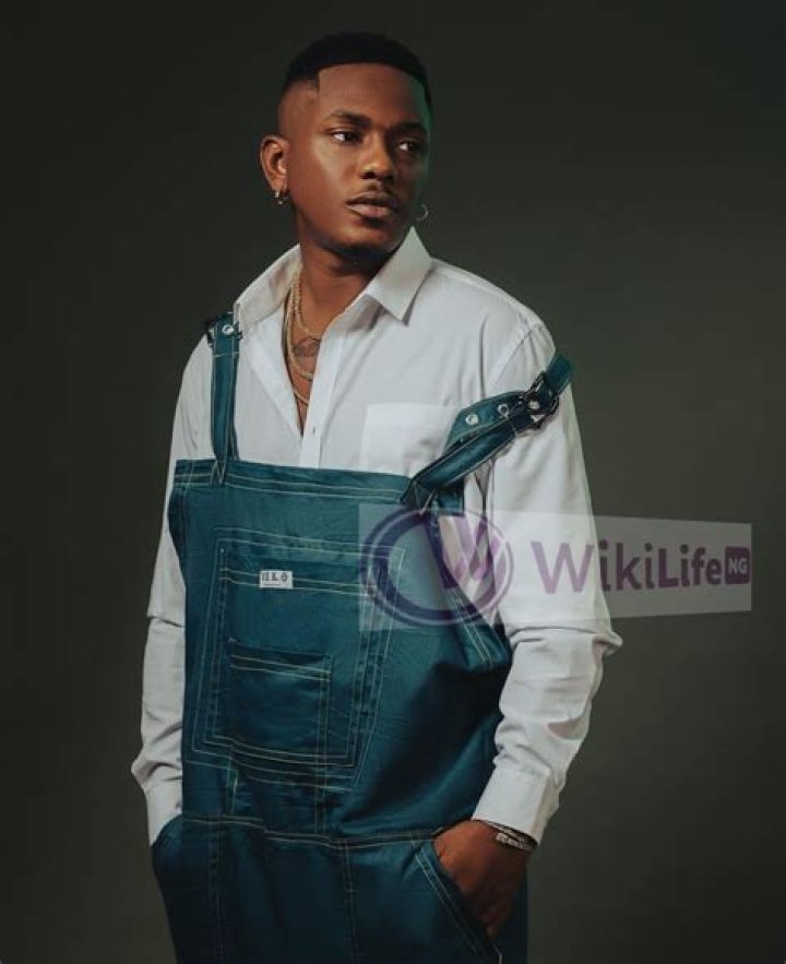 Unveiling Timini Egbuson's Net Worth: Exploring His Financial Empire