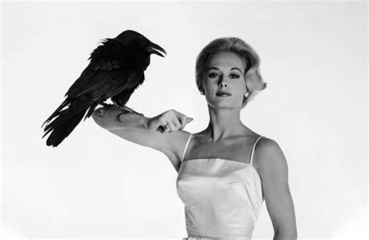Tippi Hedren: The Iconic Actress and Animal Rights Activist
