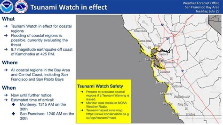 Unleash The Healing Power Of Tsunami Bands In The Bay Area
