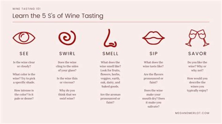 What are the Five S's of Wine? Your Simple Guide to Tasting