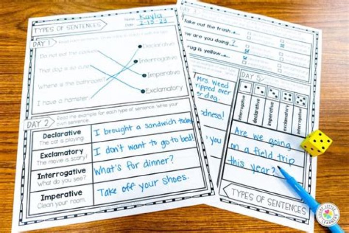 What Are the Four Types of Wine? A Simple Guide for Today's Enthusiast