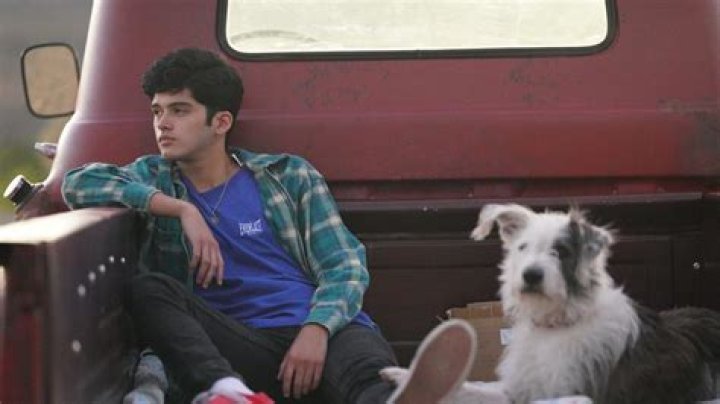 What Does Ari Gold Do for a Living? A Look at the Iconic Hollywood Agent