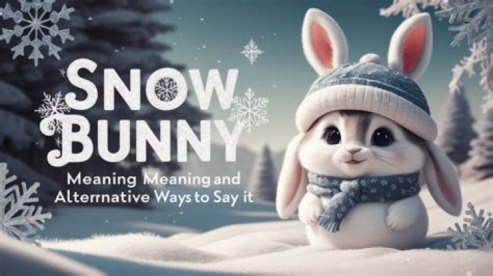 What Does "Snow Bunny" Mean on TikTok? Unpacking the Viral Slang Term