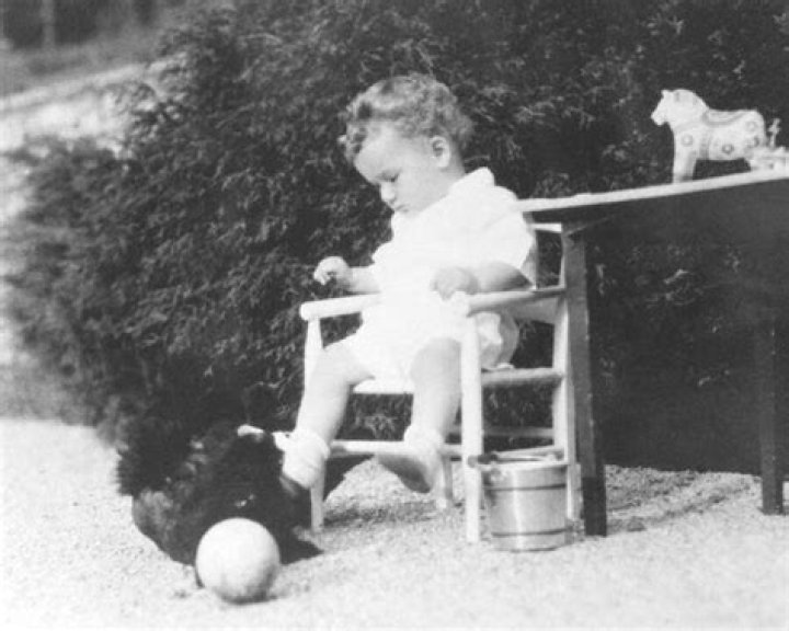 What Happened to the Lindbergh Baby? Unraveling a Nation's Enduring Mystery