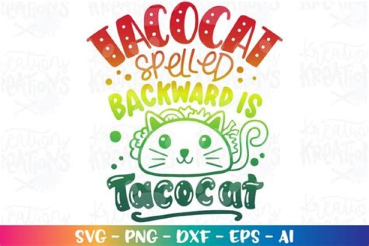 What is Tacocat an Example Of? Exploring Palindromes, Wordplay, and Their Fascinating World