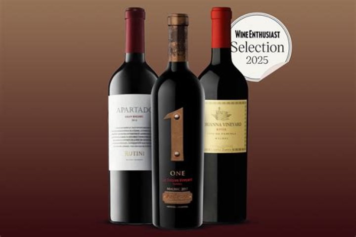 What is the Best Wine for Everyday Drinking? Discover Your Go-To Bottle