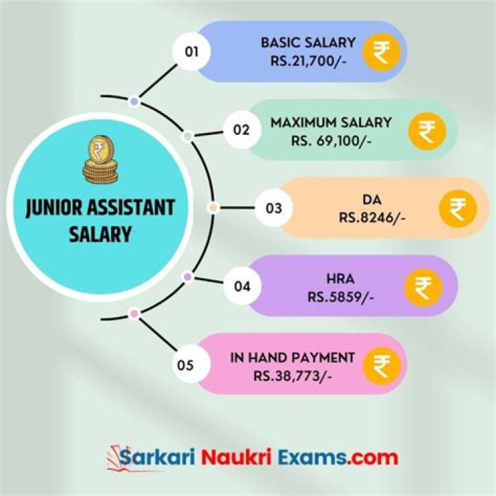 What is the Salary of Anjali Arora? Unpacking Public Figure Earnings