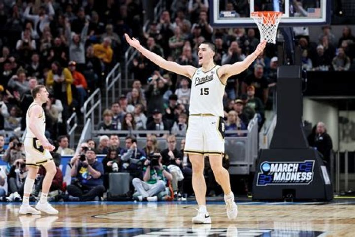 Unleashing Zach Edey's Academic Brilliance: Insights And Discoveries