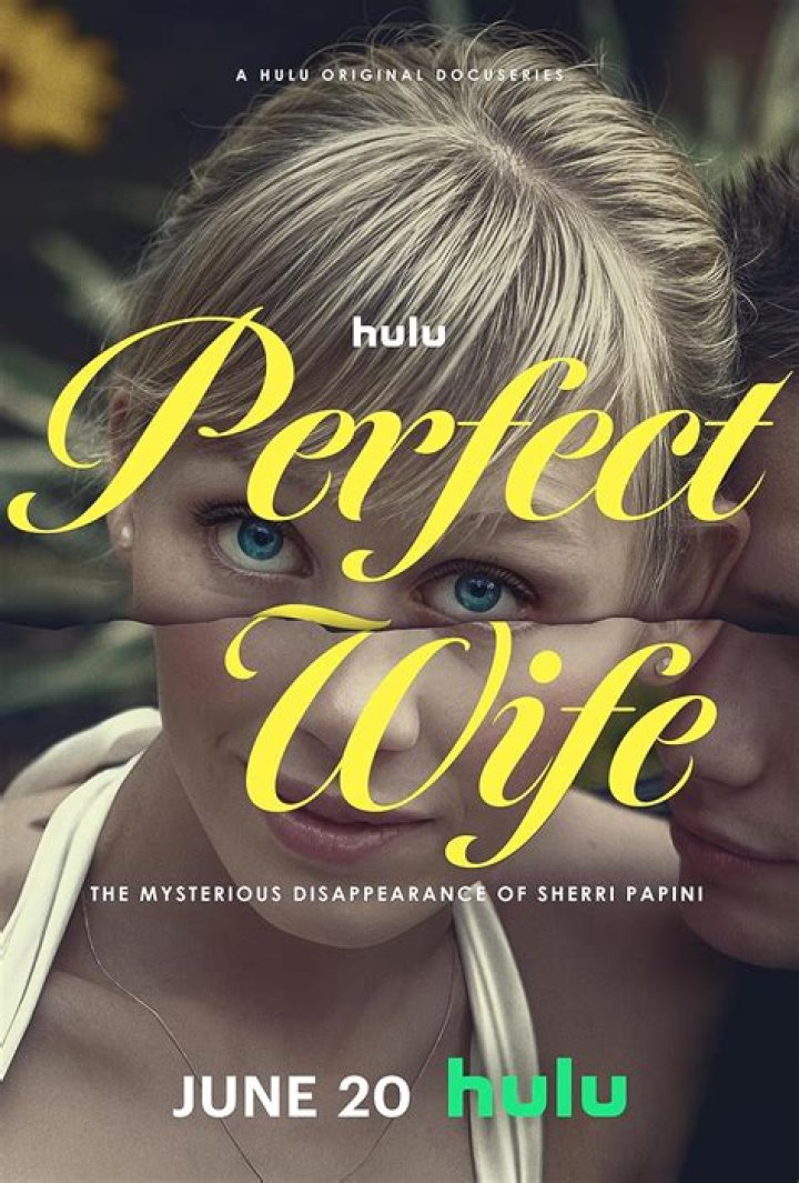 What Streaming Channel is "The Perfect Wives" On? Unraveling the Mystery