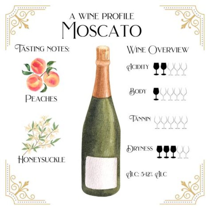 What Type of Wine is Moscato? A Friendly Look at This Delightful Drink