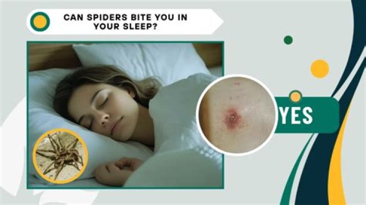 Why Do Spiders Bite You in Your Sleep? Unraveling the Mystery